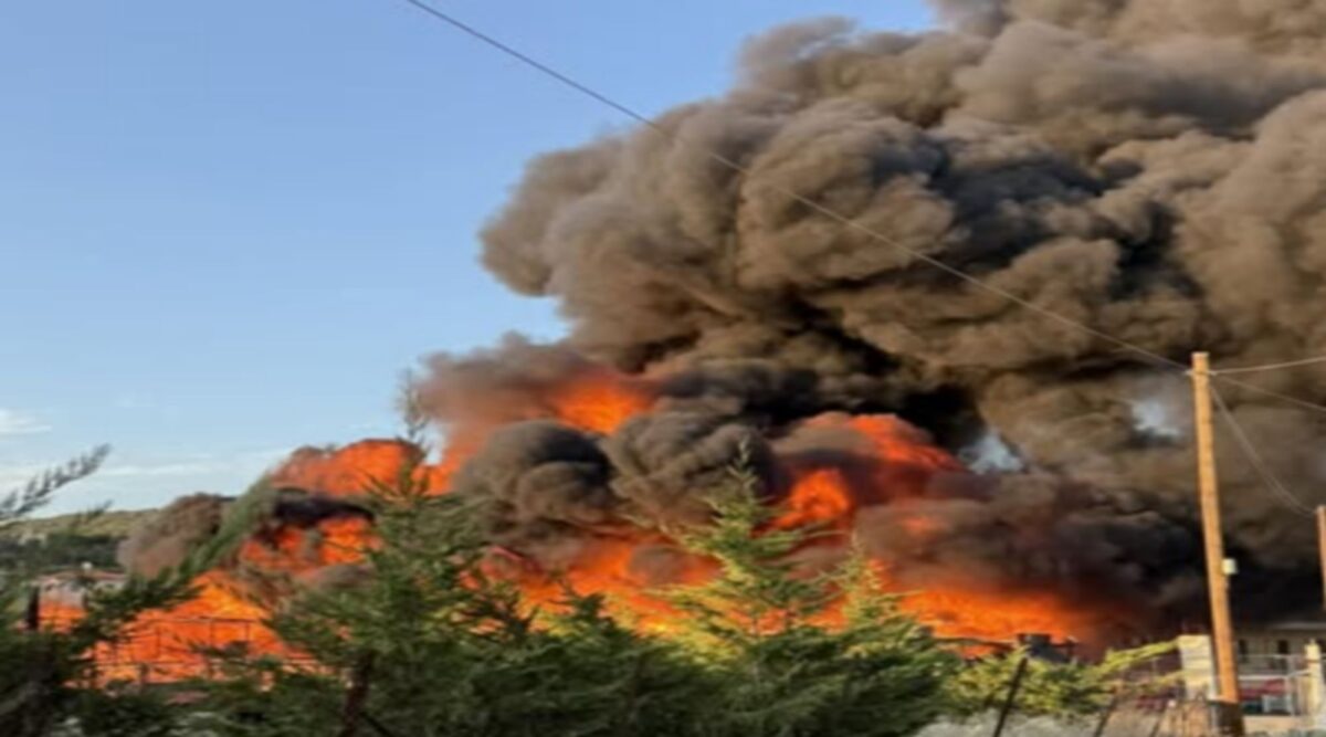 Φωτιά σε δεξαμενές ελαιολάδου στη Χαλκιδική (pic)