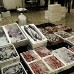 Θεσσαλονίκη: Κατασχέθηκαν 70 κιλά μπακαλιάρου στην ιχθυόσκαλα Νέας Μηχανιώνας