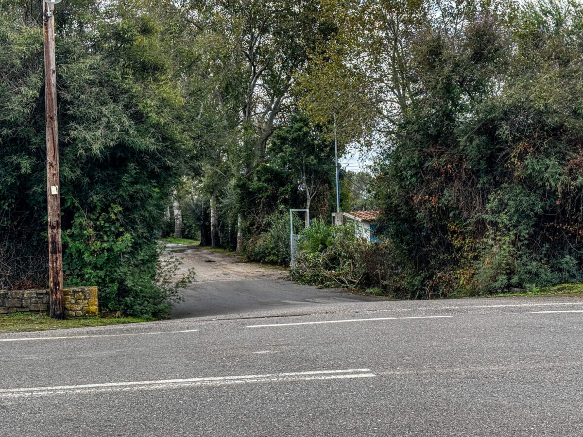 Διαθήκη ιδιοκτήτη κάμπινγκ: Ποιοι είναι οι νόμιμοι κληρονόμοι; (vid)