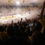 Η παρακάμερα της ΚΑΕ από τo “κιτρινόμαυρο”… πάρτι (vid)