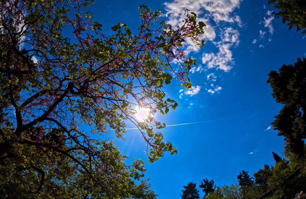 Πώς θα είναι ο καιρός αύριο (vid)