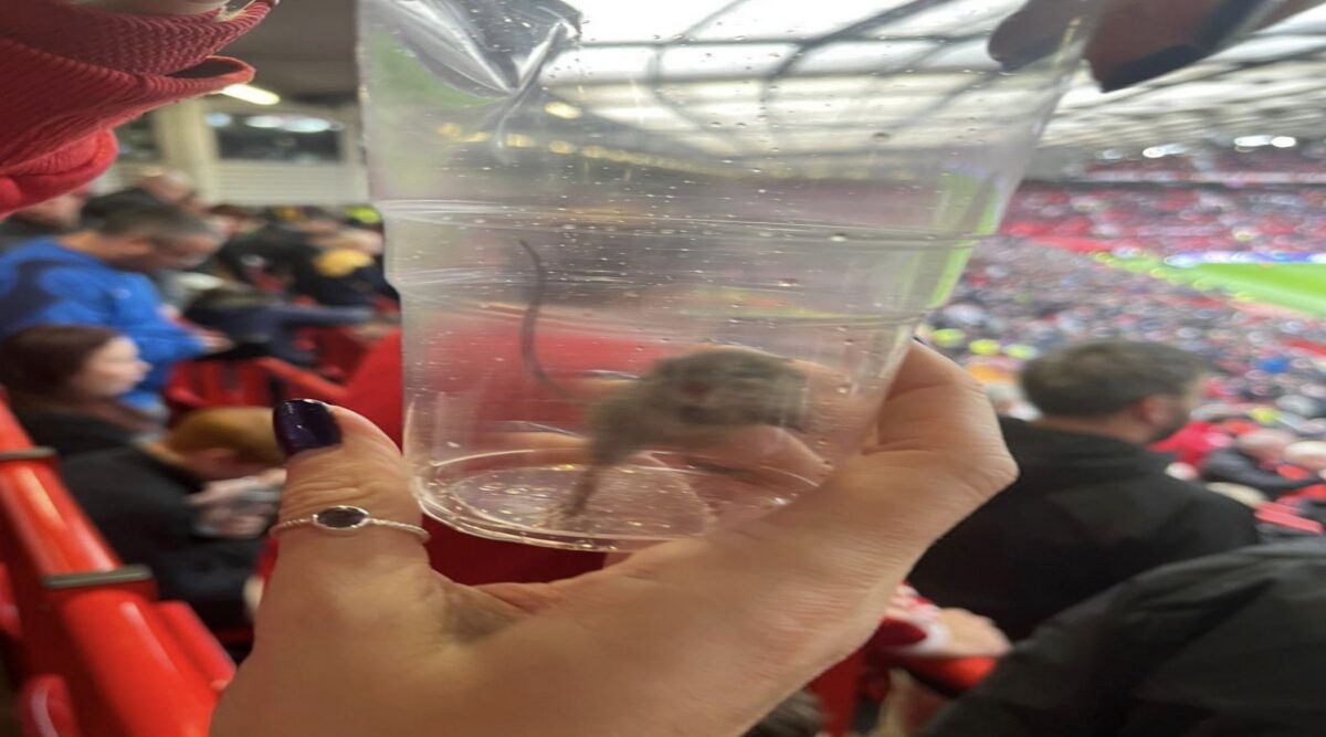 Τα ποντίκια ακόμα… κόβουν βόλτες στο «Ολντ Τράφορντ»! (pics)