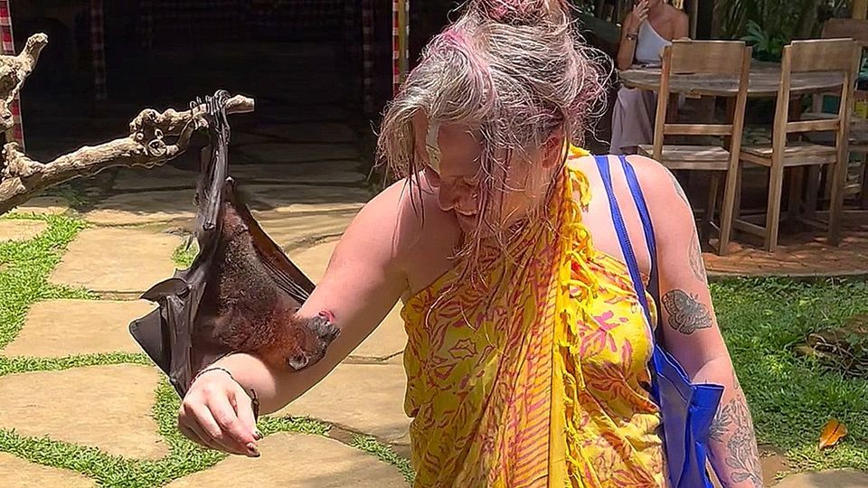 Νυχτερίδα αγκάλιασε τουρίστρια! (vid)