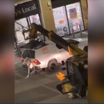 Αγγλία: Μέχρι κι εκσκαφέα επιστράτευσαν για να αρπάξουν ΑΤΜ (vid)