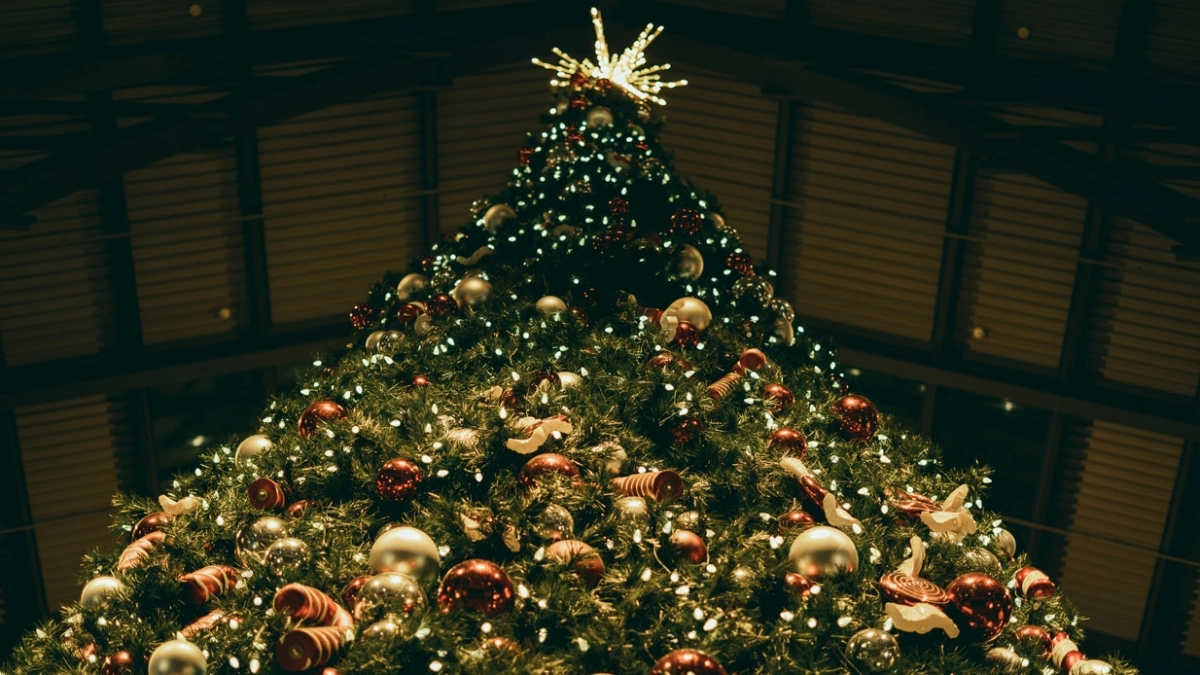 Χριστουγεννιάτικο δέντρο… τέλος – Αυτή είναι η νέα μόδα (vid)