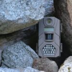 Απίστευτές καταγραφές από κάμερα σε σπηλιά… για δέκα χρόνια!