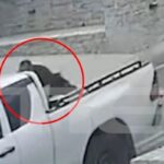 Νέο βίντεο ντοκουμέντο από τα Βορίζια! (vid)