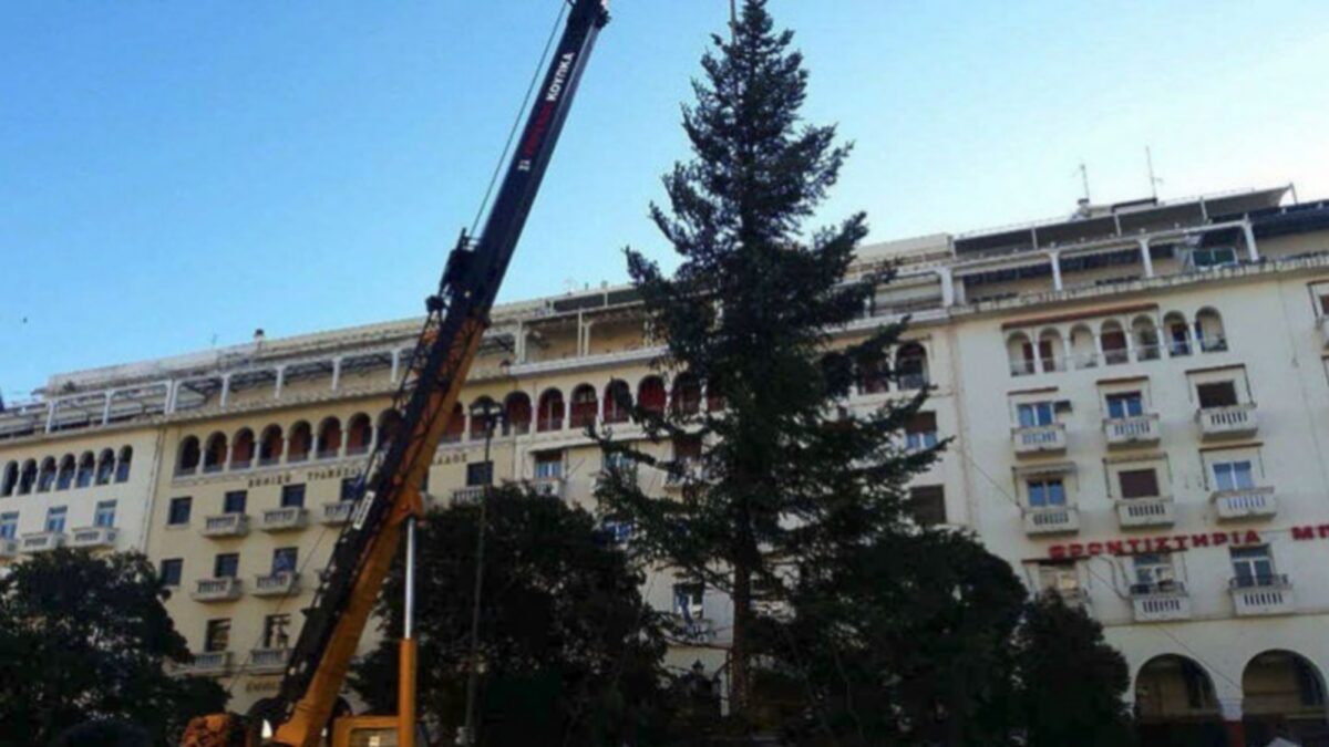 Έφτασε το Χριστουγεννιάτικο έλατο, ύψους 18 μέτρων, στην Πλατεία Αριστοτέλους
