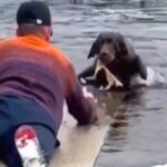 Γενναίος άνδρας ρισκάρει την ζωή του για να σώσει σκύλο (vid)