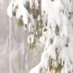 ΗΠΑ: Χιονοπτώσεις και πολικές θερμοκρασίες – Πρωτοφανές κύμα ψύχους (vid)