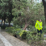 Πολλές ζημιές στη Θεσσαλονίκη από τους ισχυρούς ανέμους