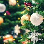 Αναβολή σε δύο φωταγωγήσεις δέντρων σήμερα στη Θεσσαλονίκη