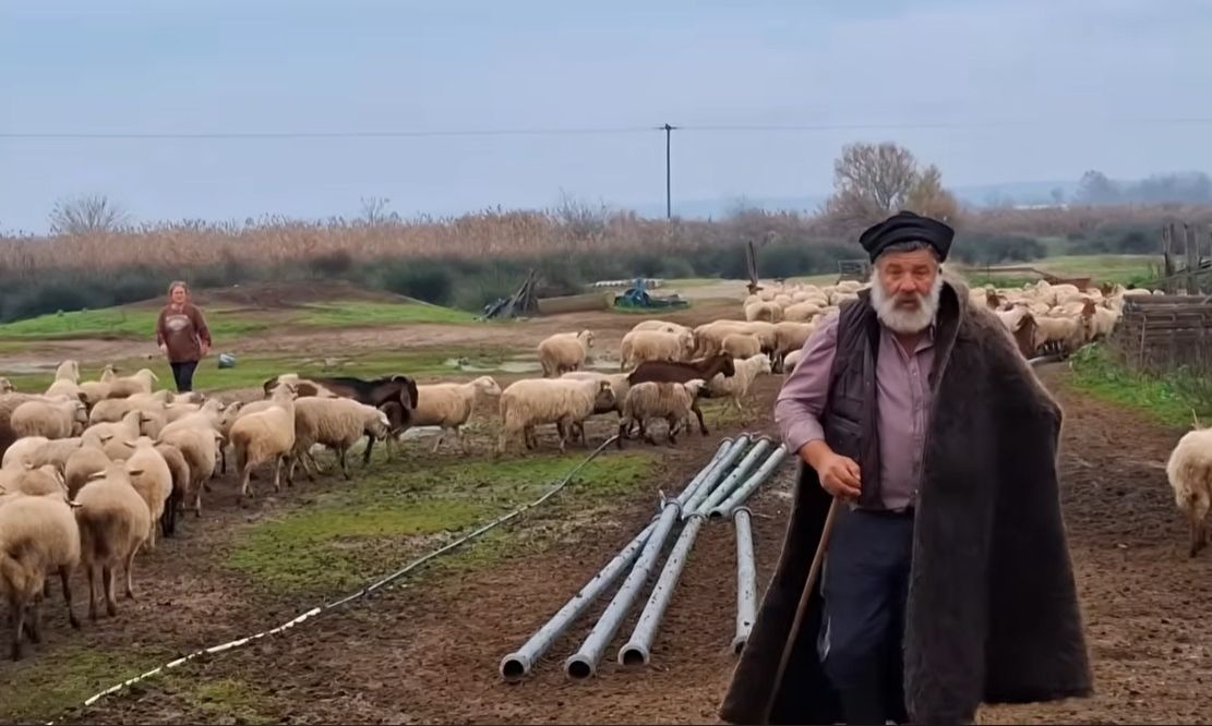 Εγκεφαλικό ο κτηνοτρόφος που αποχαιρέτησε τα πρόβατά του (vid)