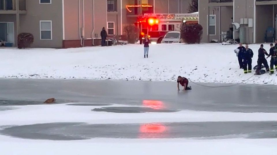 Ηρωική διάσωση σκύλου σε παγωμένη λίμνη (vid)