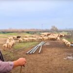 Συγκλονίζει η κόρη του κτηνοτρόφου: “Η μητέρα μου φώναζε ο μπαμπάς παθαίνει εγκεφαλικό”