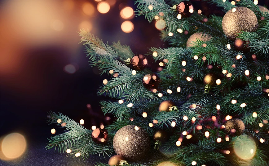 Καταστήματα χριστουγεννιάτικων ειδών: Μεγάλη κίνηση, περιορισμένες αγορές (vid)