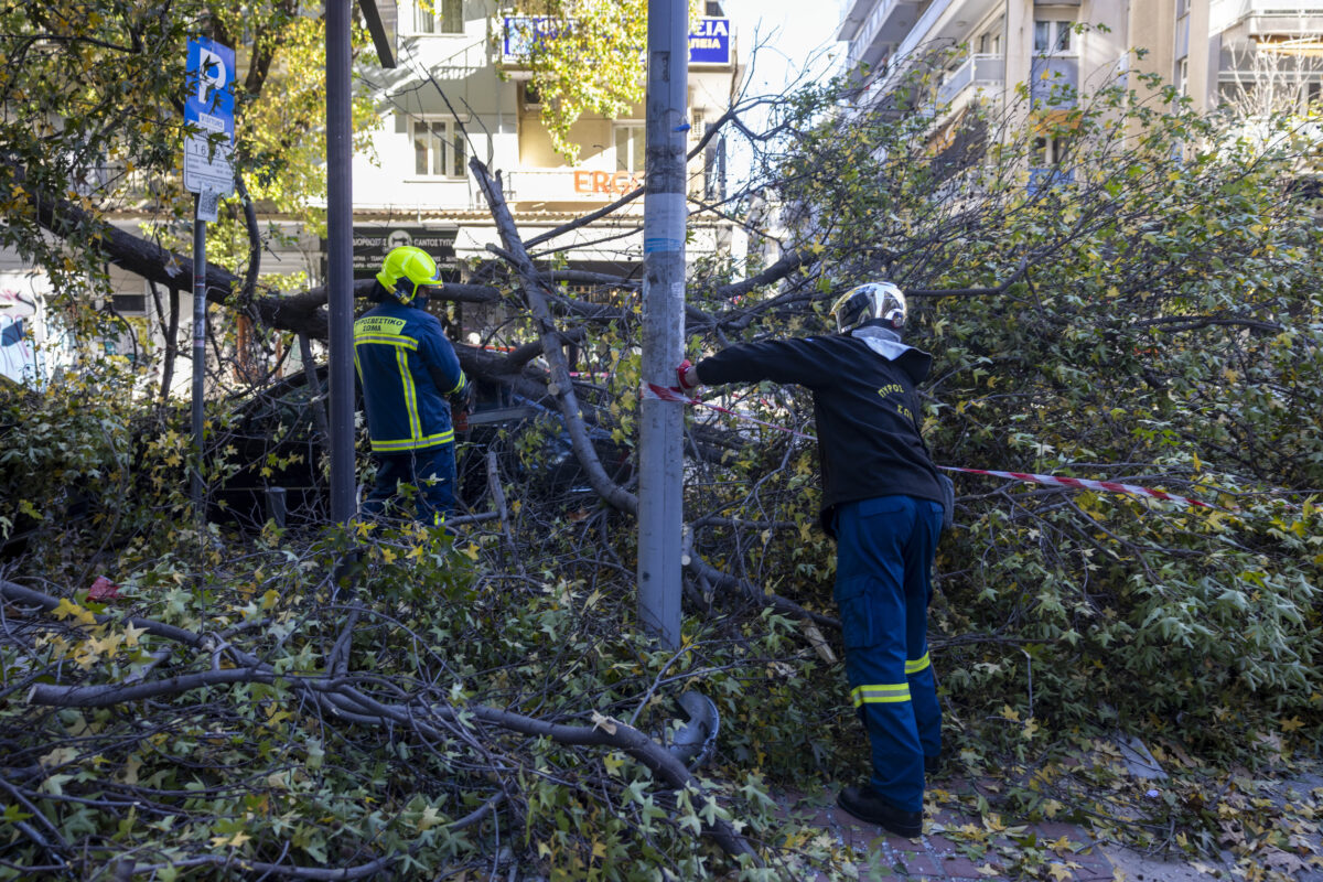 Θεσσαλονίκη: Οι άνεμοι έριξαν σκεπή σε ΙΧ! (vid)