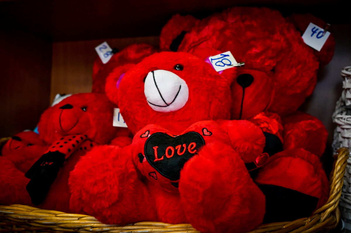 Θεσσαλονίκη: Έκλεψαν… λούτρινα αρκουδάκια από ανθοπωλείο! (vid)