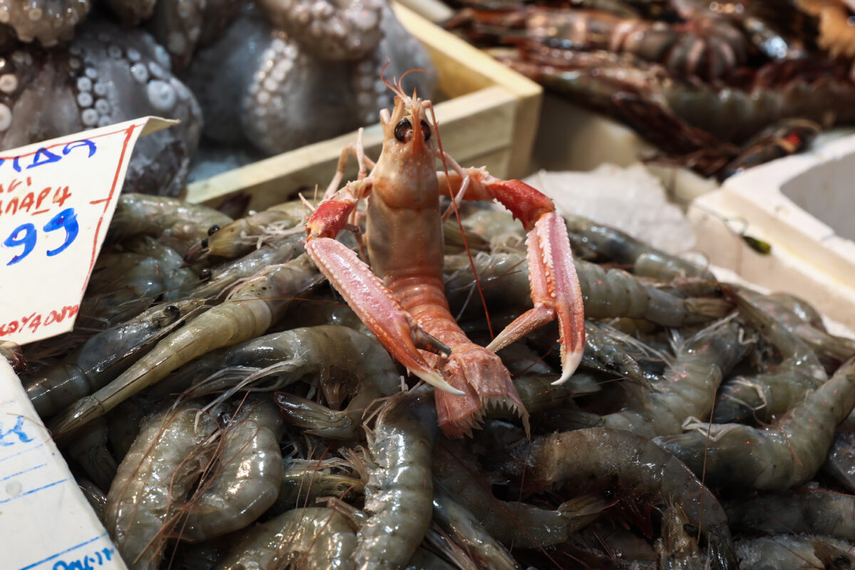 Η ακρίβεια στέλνει τον κόσμο… στα κατεψυγμένα  για την Καθαρά Δευτέρα