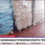 Καπανδρίτι: Κατασχέθηκαν περισσότεροι από 4 τόνοι σάπιου κρέατος (vid)