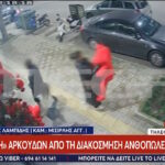 Θεσσαλονίκη: Επική «απαγωγή» αρκούδων για του Αγίου Βαλεντίνου! (vid)