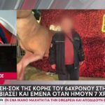 Κόρη 64χρονου: «Με είχε βιάσει όταν ήμουν 7 χρονών στην Αλβανία» (vid)