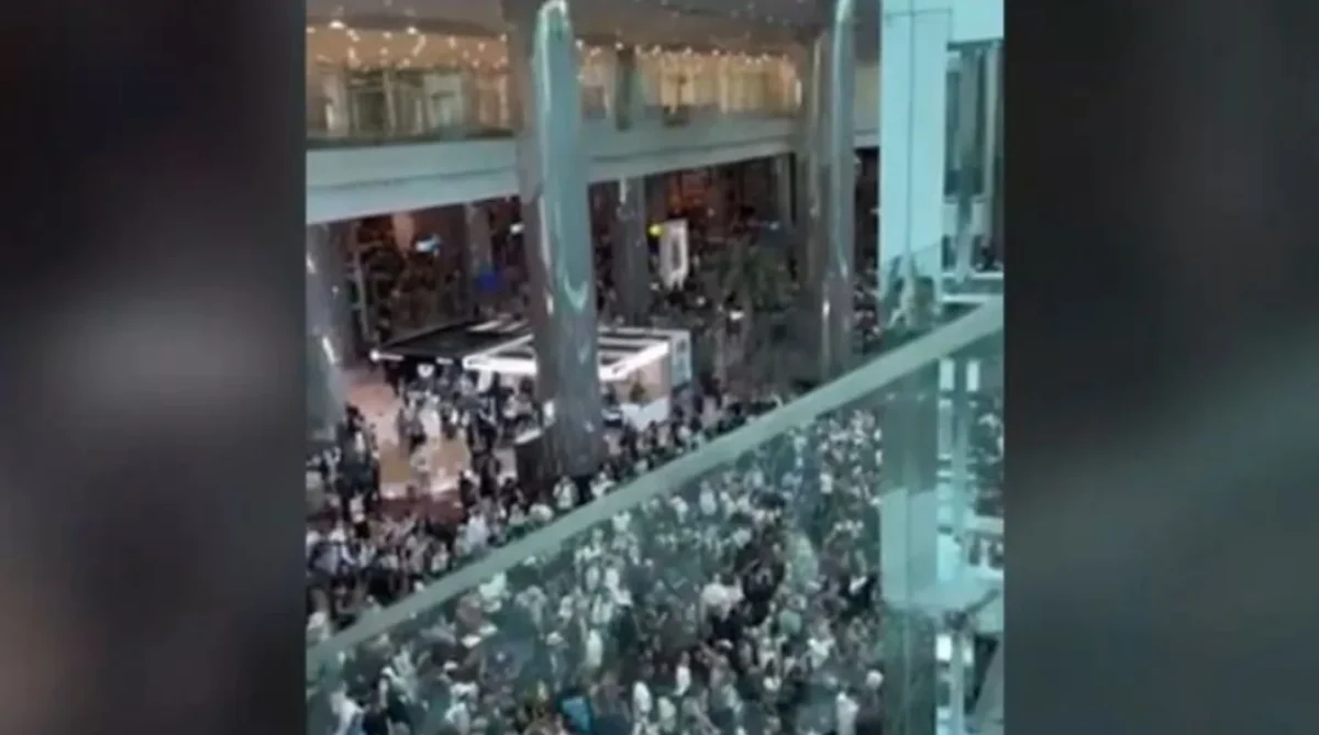 Σκηνές χάους στο αεροδρόμιο του Ντουμπάι! (vid)