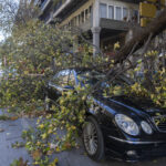 Θεσσαλονίκη: Μεγάλο δέντρο έπεσε πάνω σε σταθμευμένα αυτοκίνητα στο ΑΧΕΠΑ λόγω ανέμων!