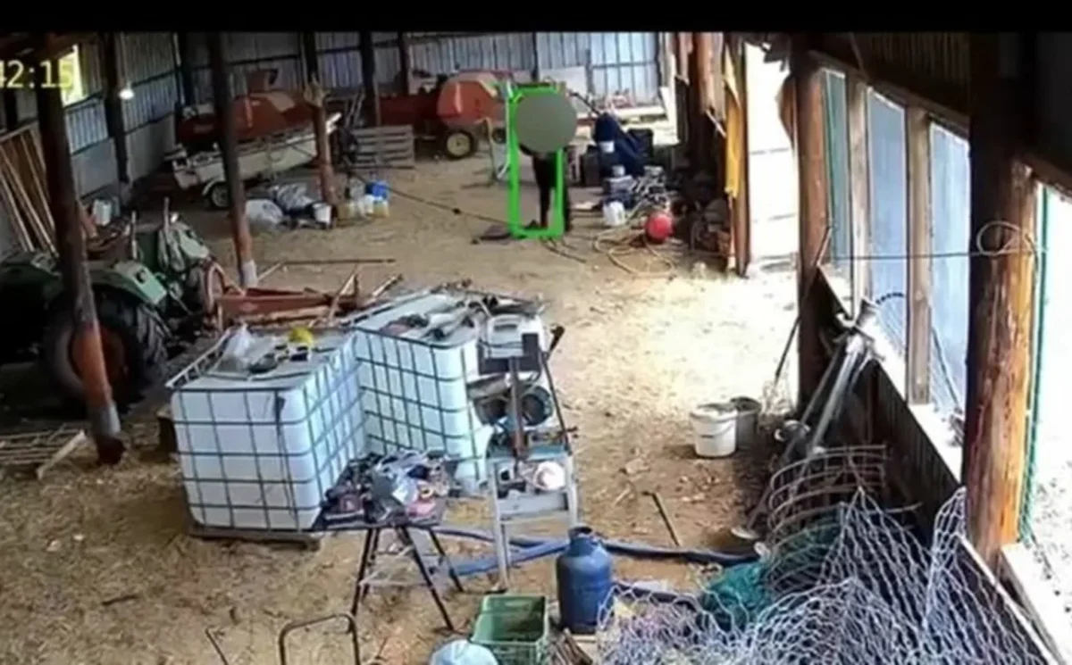 Θεσσαλονίκη: Εισβολή διαρρηκτών σε ιδιωτική αποθήκη! (vid)