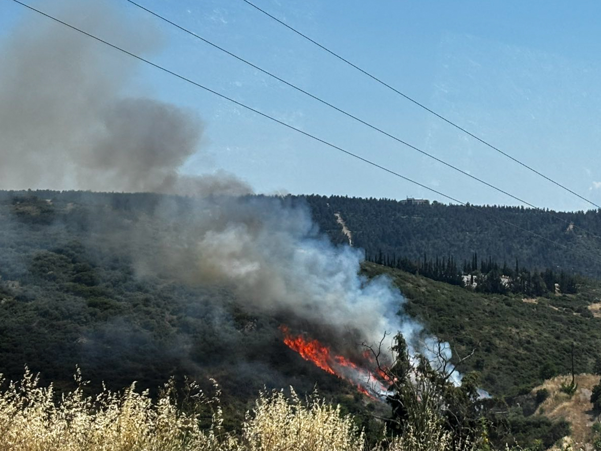 Θεσσαλονίκη: Φωτιά σε χαμηλή βλάστηση στο Φίλυρο – Κινητοποίηση της Πυροσβεστικής, εναέρια μέσα και… 112 (pic+vid)