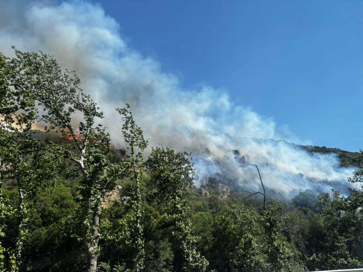 Θεσσαλονίκη: Καταδικάστηκε ένας εργάτης για τη φωτιά που ξέσπασε στο Φίλυρο (vid)