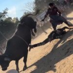 Σοκαριστικό θέαμα: Ταύρος σε αμόκ ποδοπάτησε 25χρονο αναβάτη! (vid)