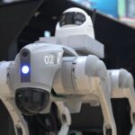 Μουντιάλ 2026: Ρομποτικά σκυλιά επιστρατεύει το Μεξικό για την ασφάλεια (vid)