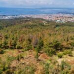 Θεσσαλονίκη: Ολοκληρώθηκε η υπογειοποίηση γραμμών ρεύματος στο δάσος Σέιχ Σου