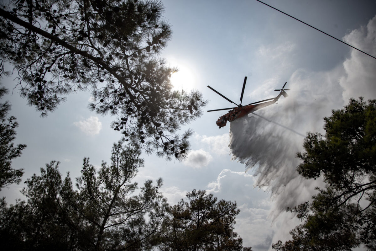 Απαγόρευση κυκλοφορίας στο Σέιχ Σου και σε άλλες δασικές εκτάσεις
