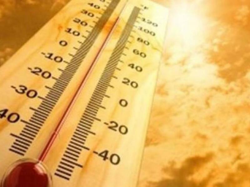Γερμανία: Περισσότεροι από 4.000 άνθρωποι πέθαναν λόγω καύσωνα σε μία εβδομάδα
