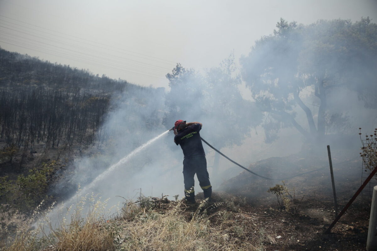 Μεσσηνία: 60χρονος συνελήφθη για εμπρησμούς, αφέθηκε ελεύθερος και έβαλε ξανά φωτιές