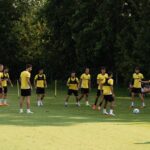 Οι Άλπεις, η Κιτρινόμαυρη αλήθεια και η ώρα της συγκομιδής