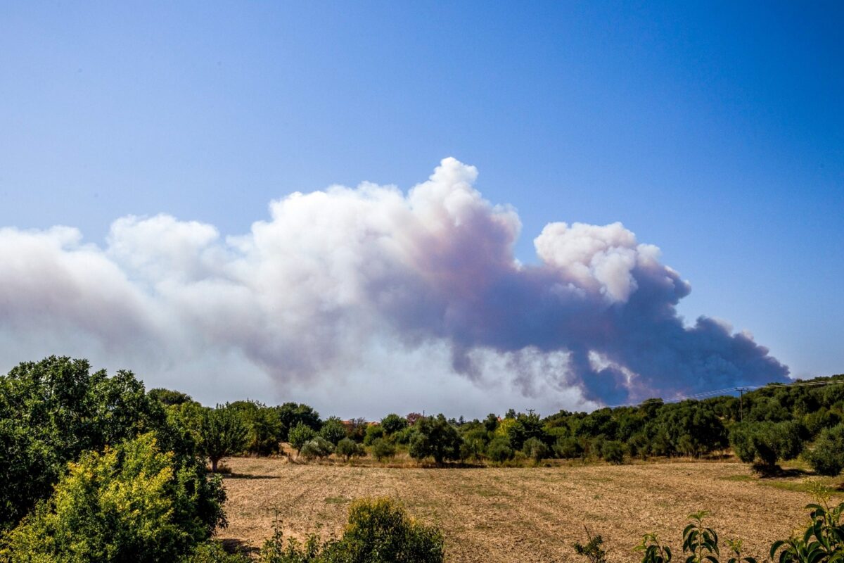 Φωτιά στη Χαλκιδική: H αιτία της πυρκαγιάς (vid)