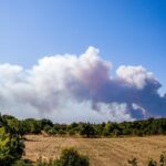 Φωτιά στη Χαλκιδική: H αιτία της πυρκαγιάς (vid)